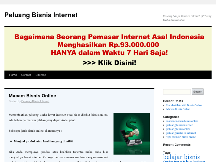 www.peluangbisnisinternet.org