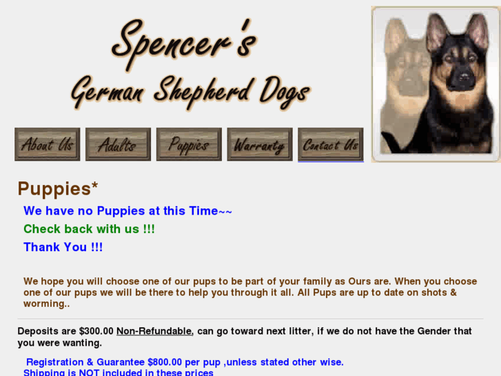 www.spencersgermanshepherds.com