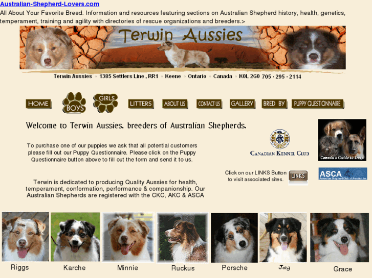 www.terwinaussies.com