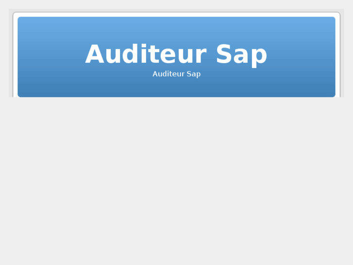 www.auditeur-erp.com