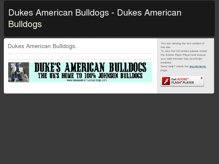 www.dukesamericanbulldogs.com