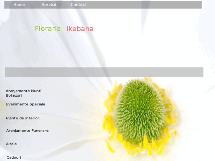 www.florarieonline.net