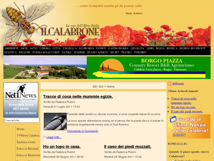 www.giornaleilcalabrone.net