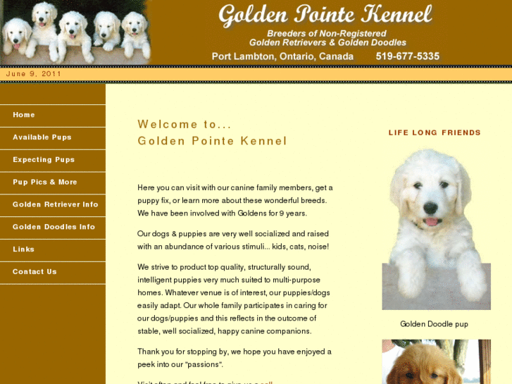 www.goldenpointekennel.com