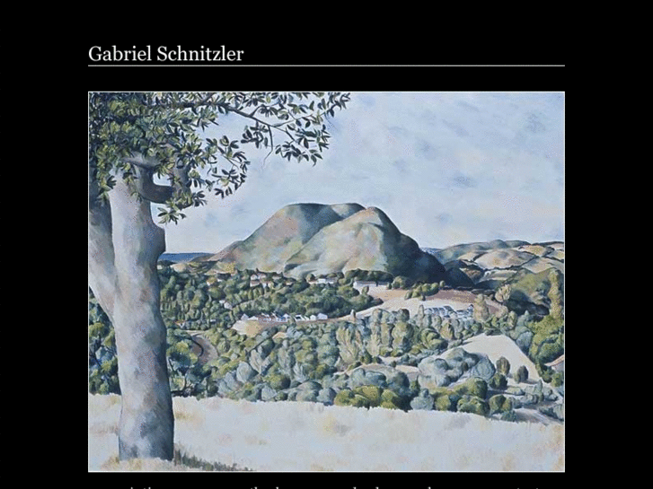 www.gschnitzler.com