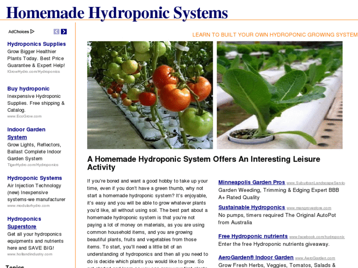 www.homemadehydroponicsystem.org