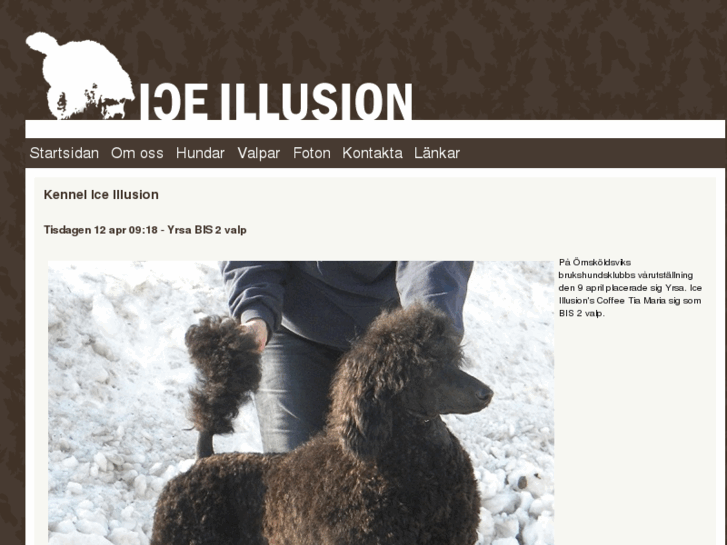 www.iceillusion.com