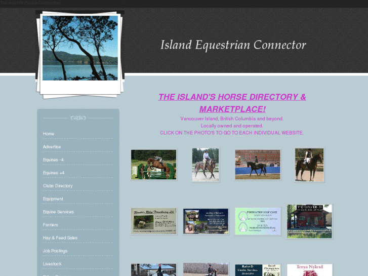 www.islandequestrian.com