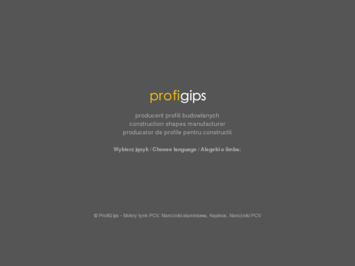 www.profigips.com