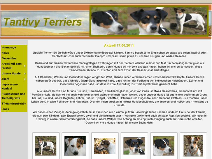 www.tantivy-terriers.de