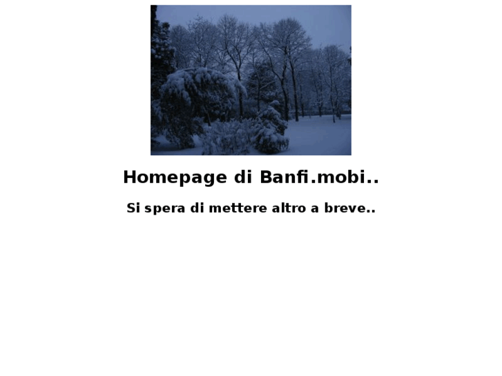 www.banfi.mobi