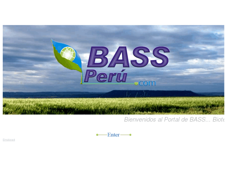 www.bassperu.com