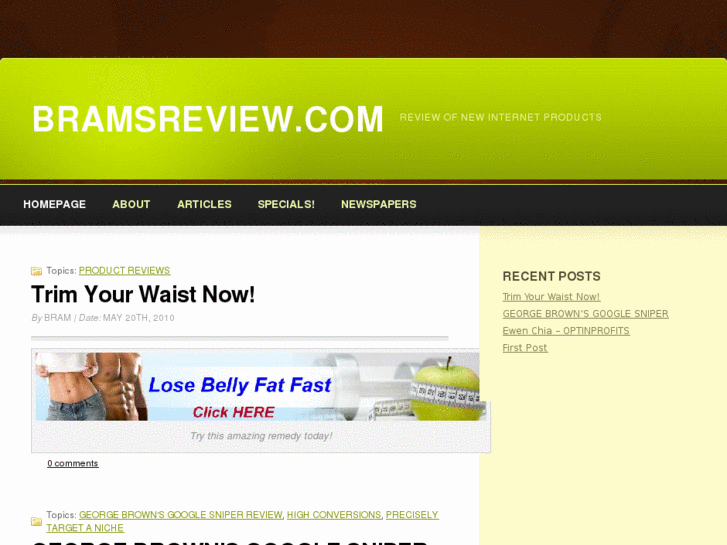 www.bramsreview.com