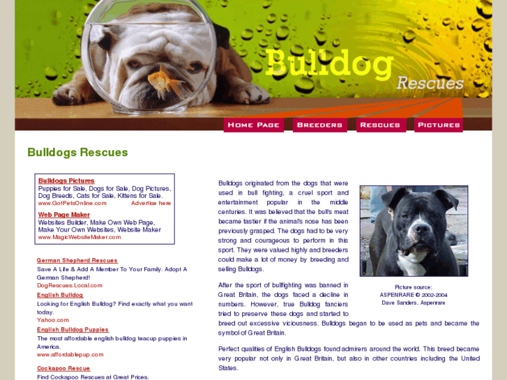 www.bulldog-rescues.com