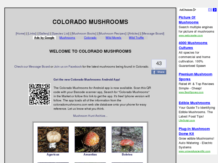 www.coloradomushrooms.com