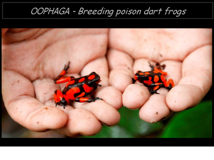 www.oophaga.es