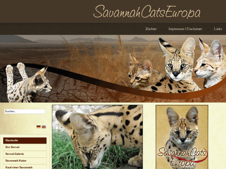 www.savannah-cats.eu