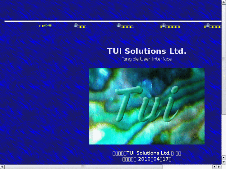 www.tui-solutions.com