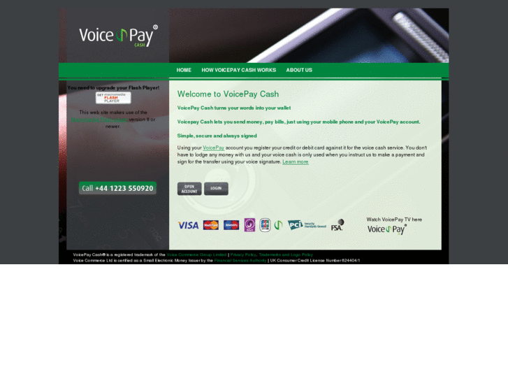 www.voicepay-cash.com