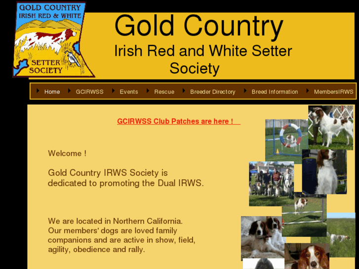 www.goldcountryirishredandwhitesettersociety.org