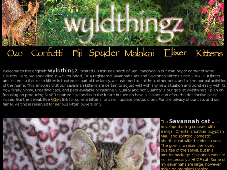 www.wyldthingz.net