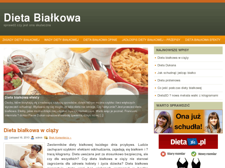 www.xn--dietabiakowa-kcc.pl