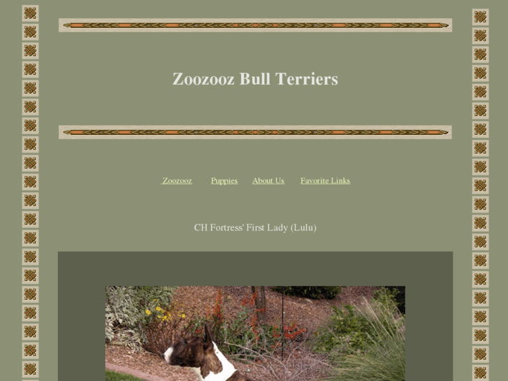 www.zoozoozbt.com