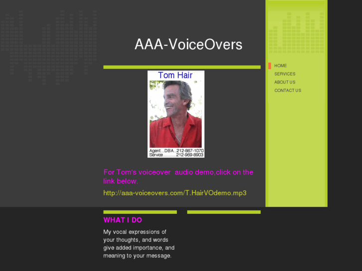 www.aaa-voiceovers.com