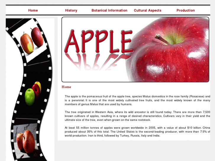 www.apple6.net