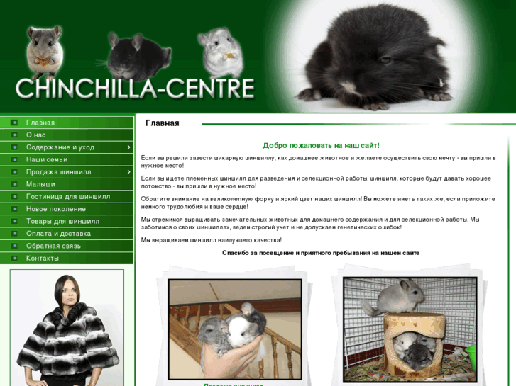 www.chinchilla-centre.com