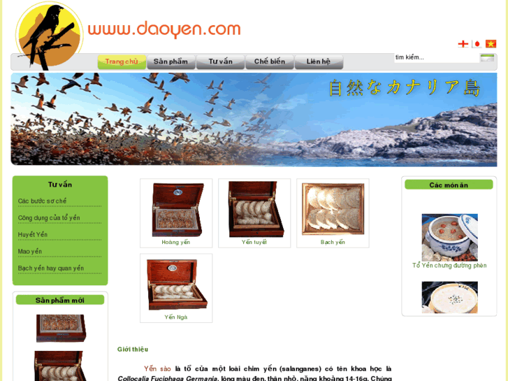 www.daoyen.com