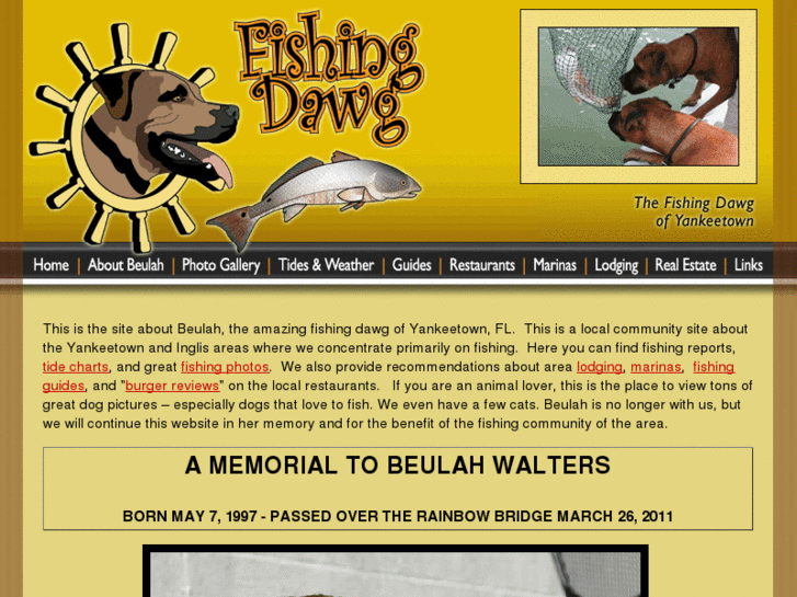 www.fishingdawg.com