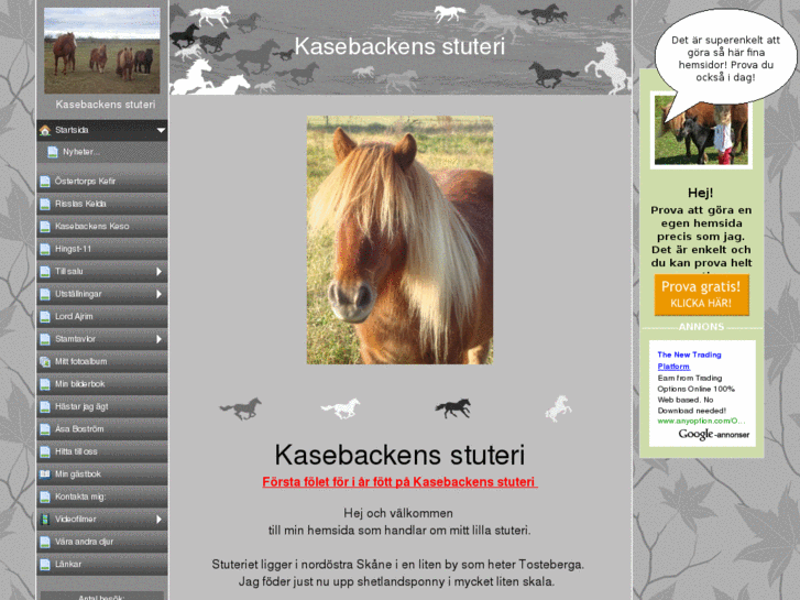 www.kasebackensstuteri.se