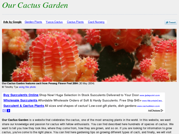 www.our-cactus-garden.com