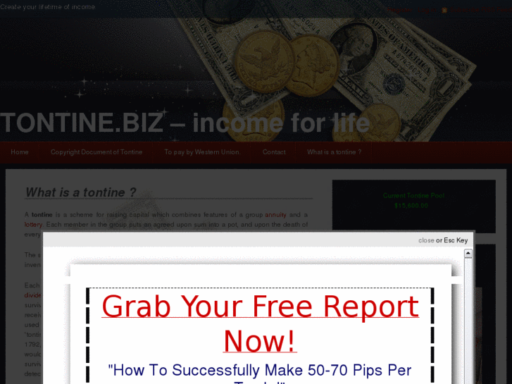 www.patrick-sim-expert-forex-trader-arbitraged-system.com