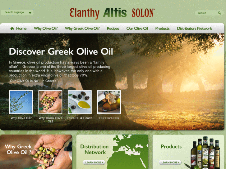 www.solon-oliveoil.com