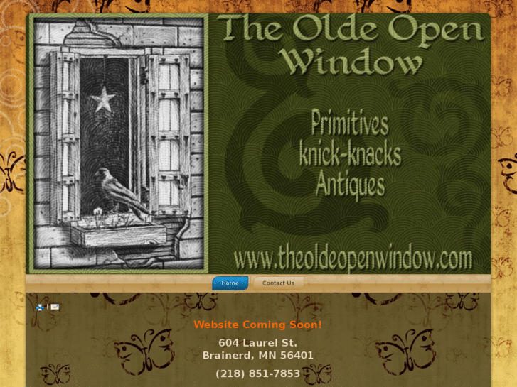 www.theoldeopenwindow.com