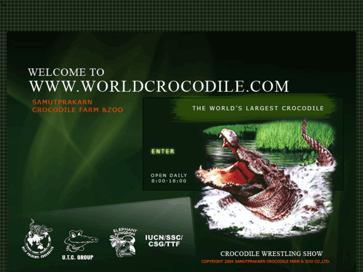 www.worldcrocodile.com