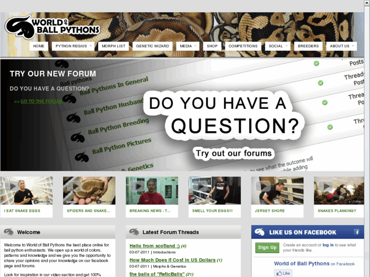 www.worldofballpythons.com