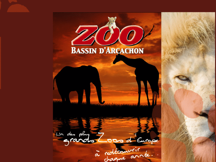 www.zoodubassindarcachon.com