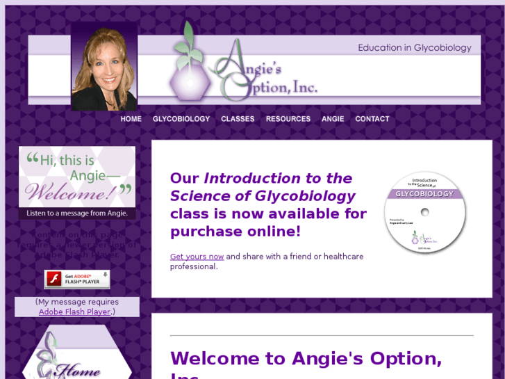 www.angiesoption.com