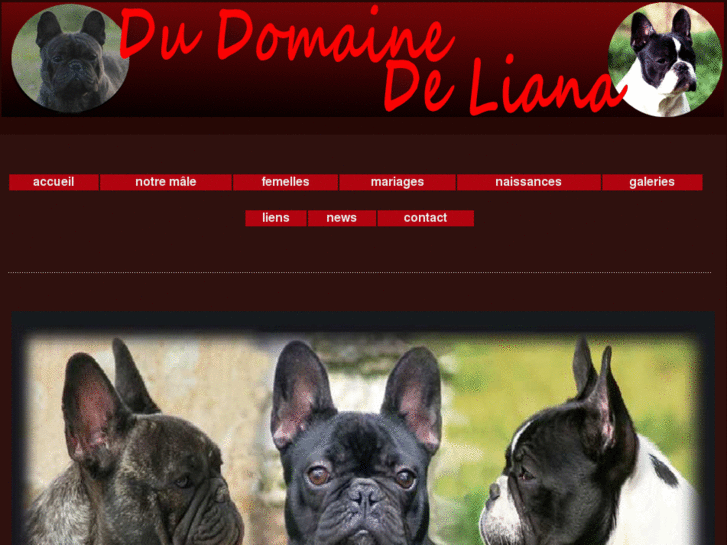 www.domainedeliana.com