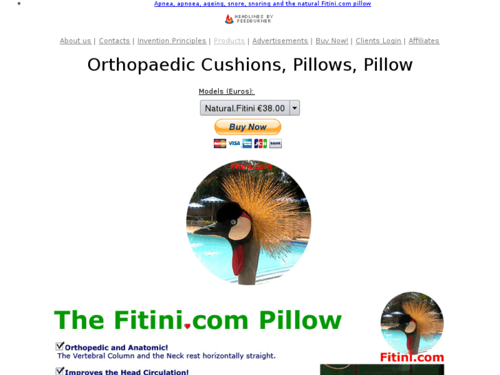 www.orthopaedic-cushions.com