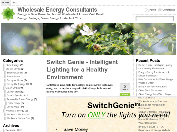 www.wholesaleenergyconsultants.com