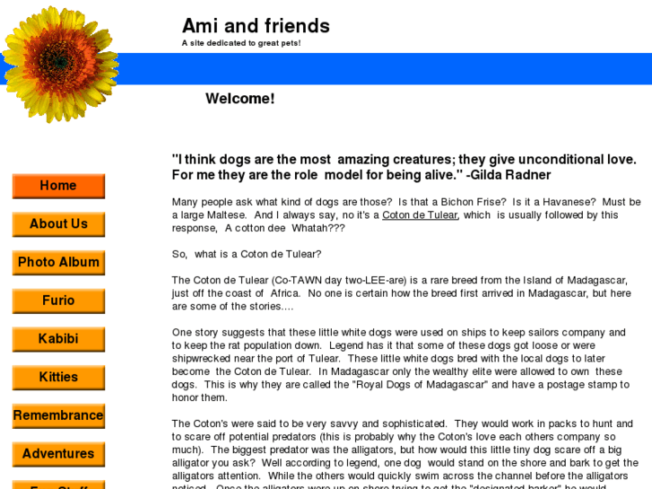 www.amiandfriends.com