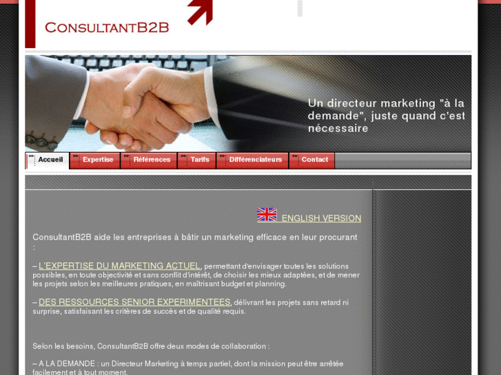 www.consultantb2b.fr