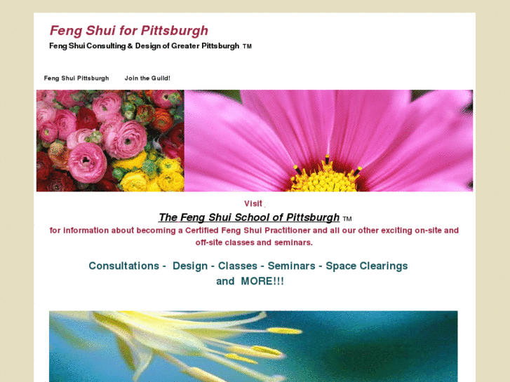 www.pittsburghfengshui.com