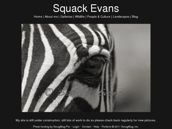 www.squack-evans.com