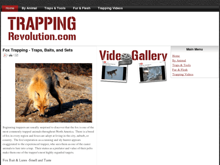 www.trappingrevolution.com