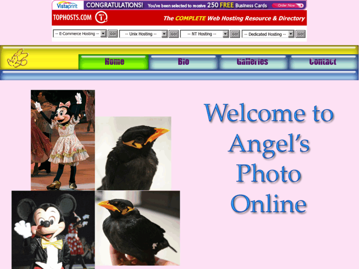 www.angelchow.com